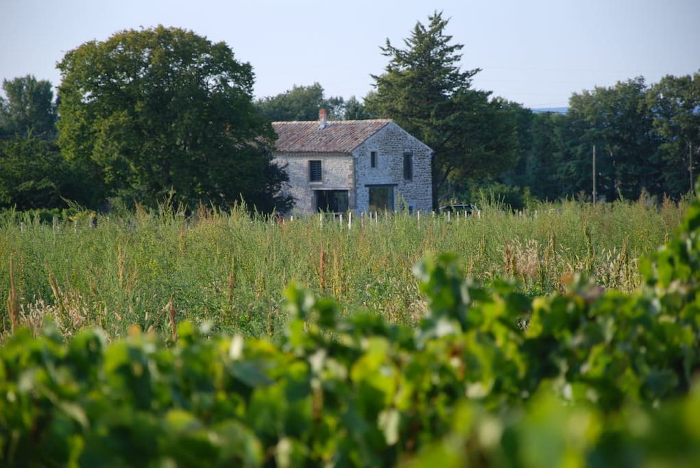 Calme et panorama