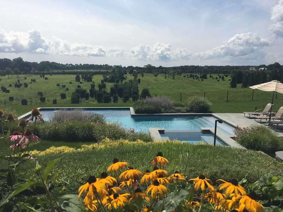 Stunning Wine Country Views! Houses for Rent in Cutchogue, New York