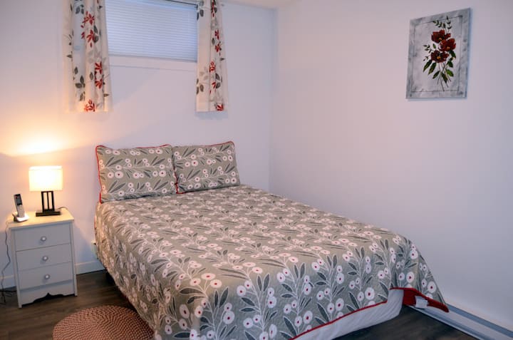 La deuxième chambre au sous-sol / the second bedroom on the lower level.