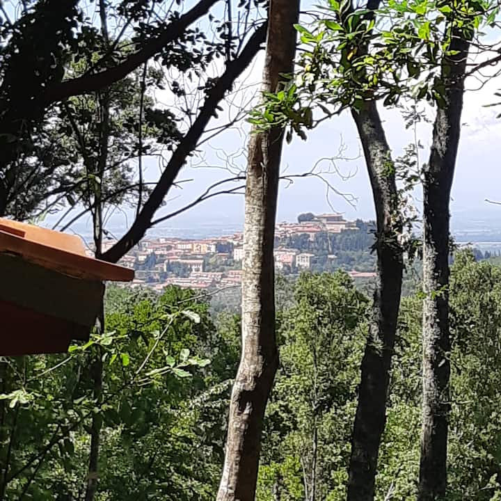 house in the woods with jacuzzi