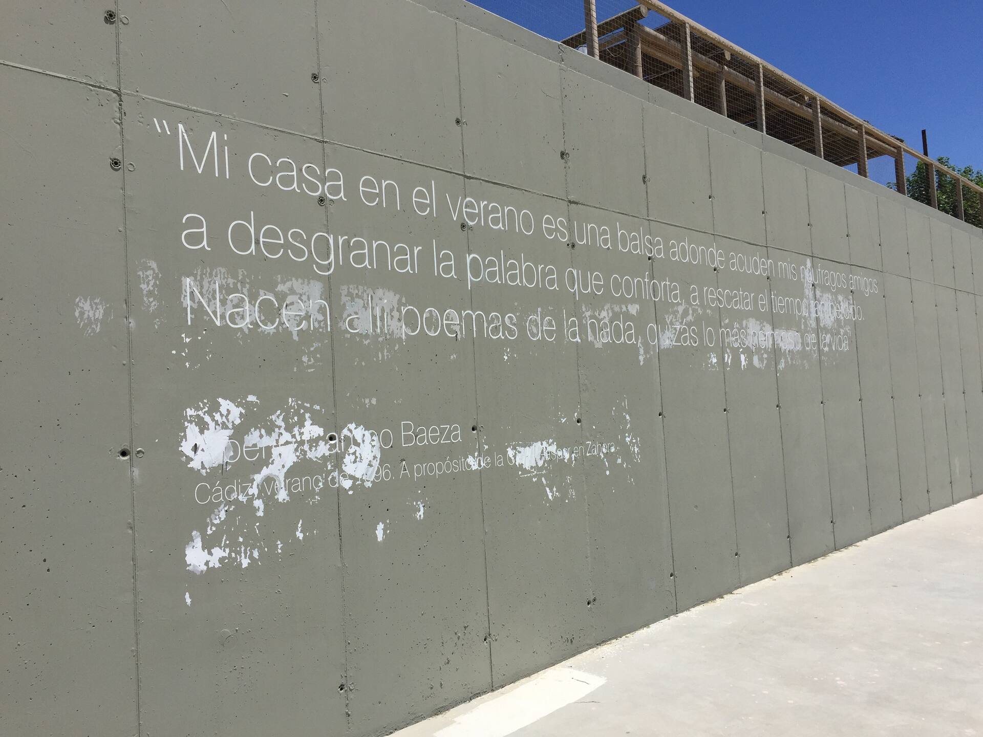 Beachside Guesthouse at La Torre Verde — foto 5