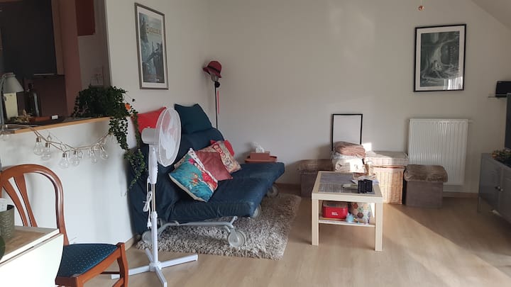 عندما تدخل غرفة المعيشة... منطقة جلوس على يسارك.