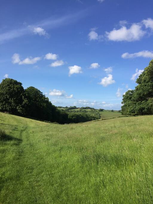 Local walks