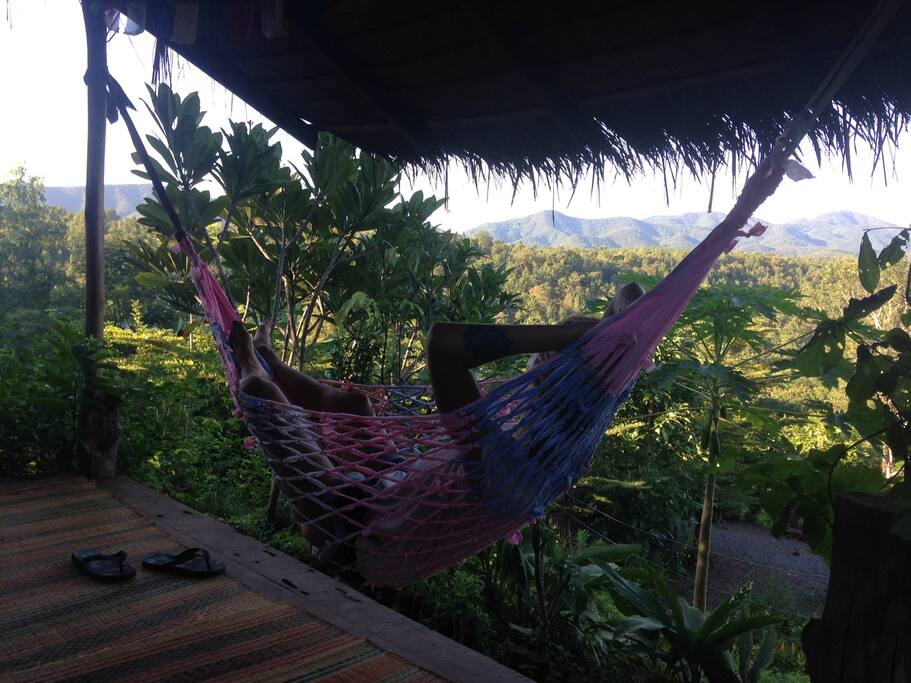 Jungle Living