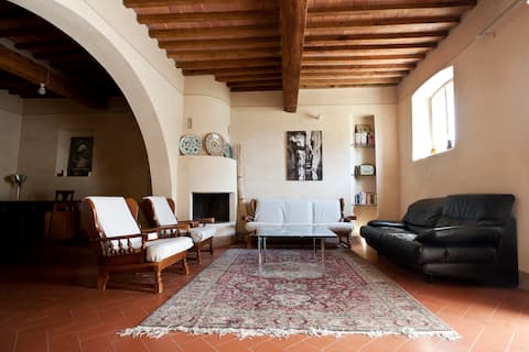 house 1700 with garden (3 bedrooms), 5km from Pisa
