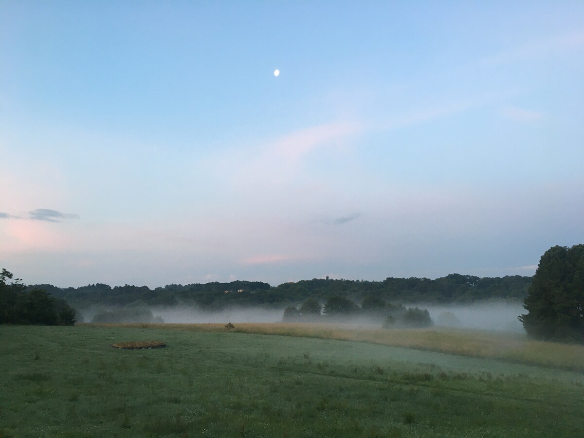 A serene natural landscape is captured at dawn, showcasing a vast grassy field partially covered by a soft mist. The sky features gentle hues of blue and pink, with a clear moon visible above the horizon. Trees outline the distant background, enhancing the peaceful scene.