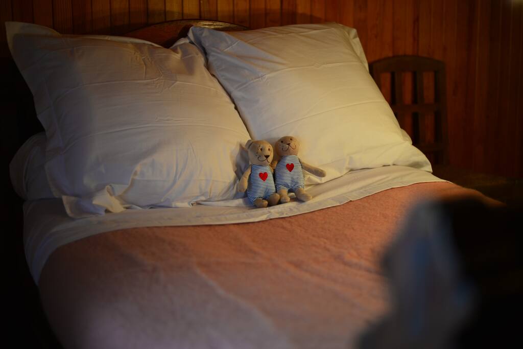 chambre 2 - lit double avec rangements
