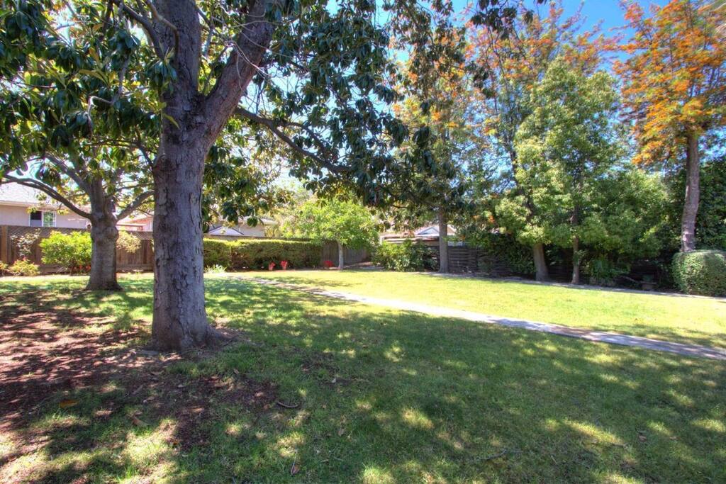 Large back yard for you to bath in the sun!