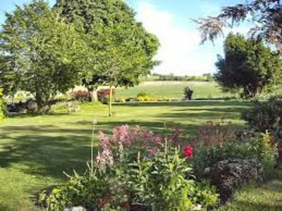 Relax in the garden