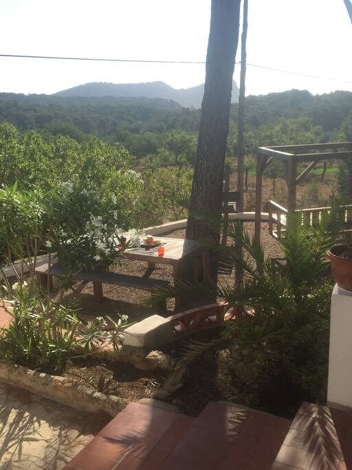garden