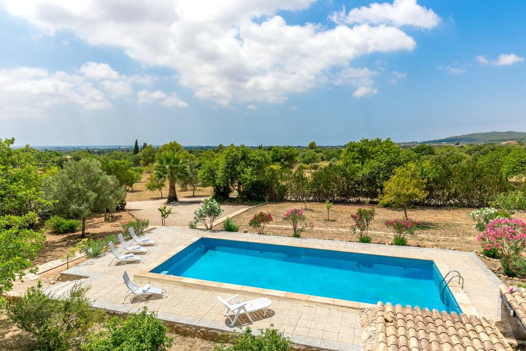 View from the terrace