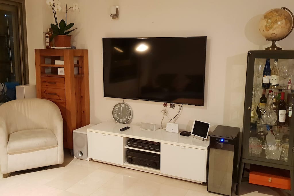 Full Entertiment 65" System
