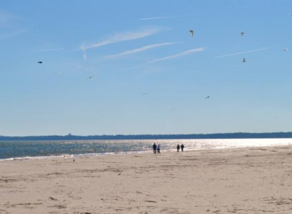 East Beach Saint Simons Island Ga United States East Beach Saint Simons Island Ga United States