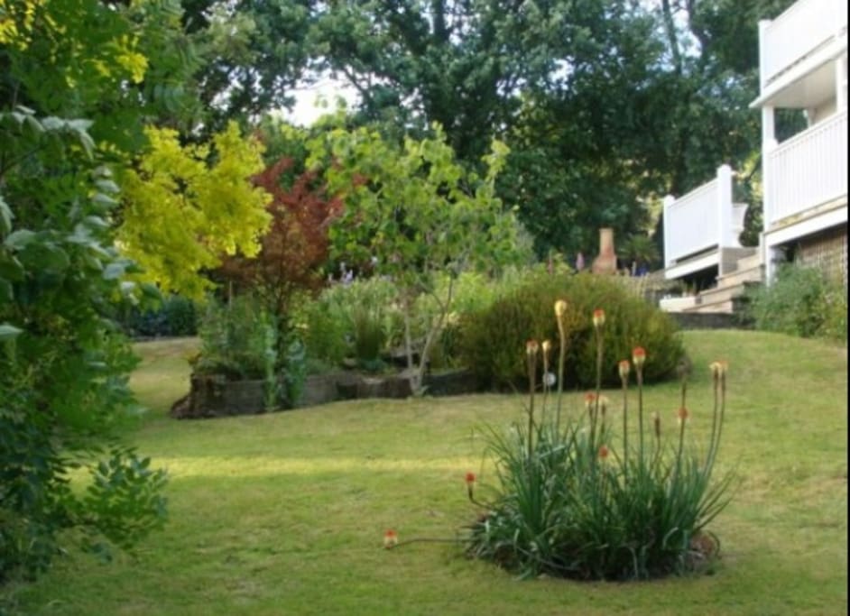 The rear garden