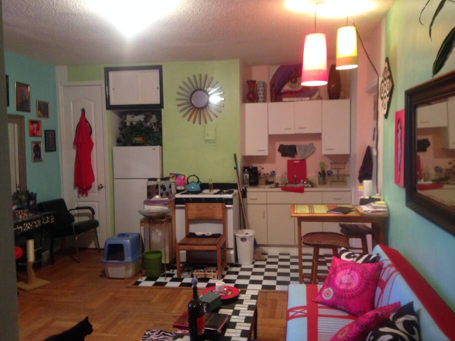 full use of kitchen and stove. Big refrigerator