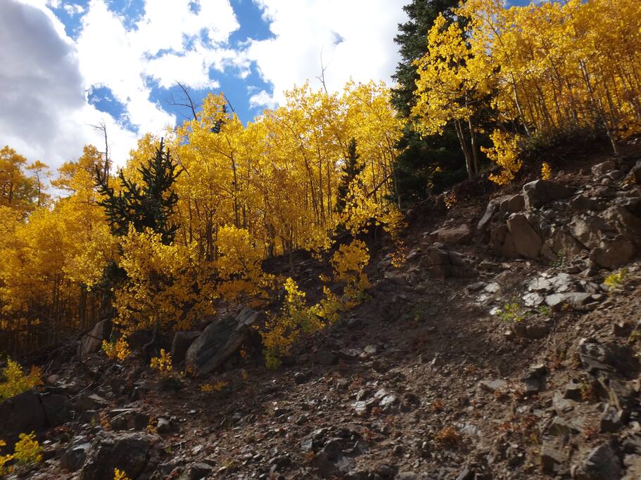 Love fall!