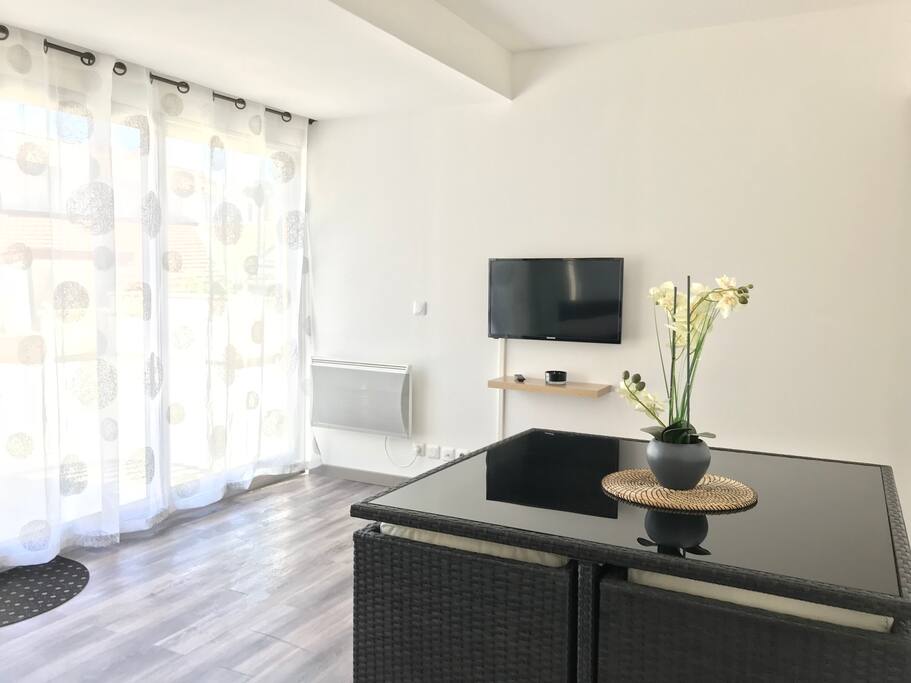 Séjour avec table à manger, 4 fauteuils, un canapé convertible 2 places, le tout face à une très grande baie vitrée exposée Ouest