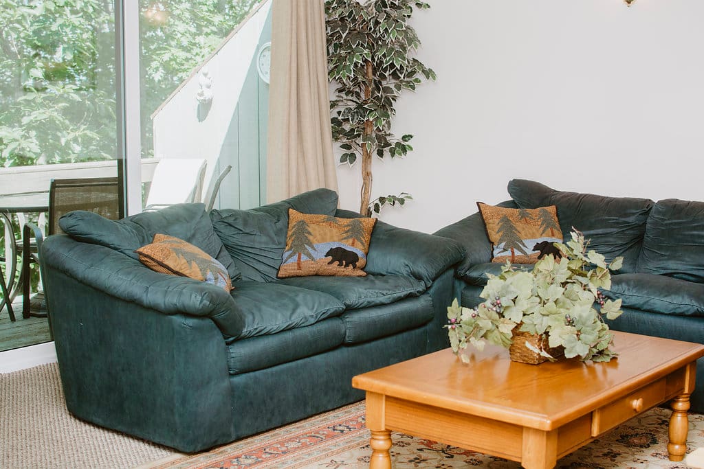 Lovely living room with large sliding doors to wooded rear deck with gas grill and seating for four.