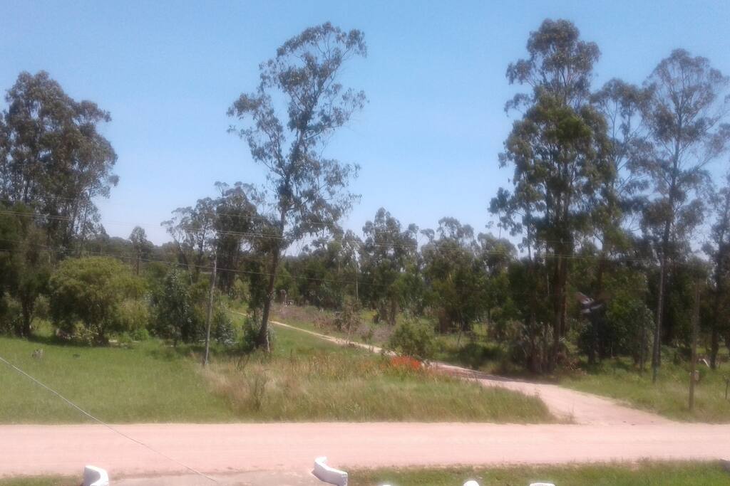 Vista desde terraza