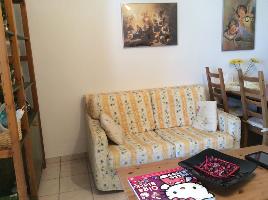 The living room
(1es floor)