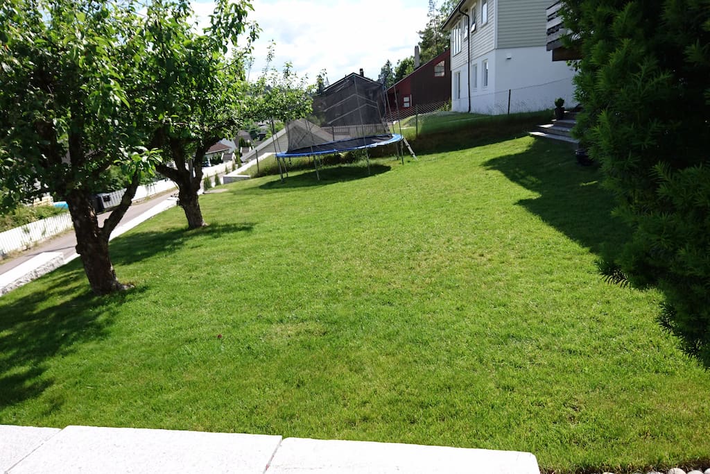 A nice lawn for playing