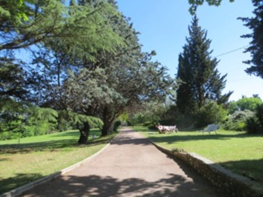le jardin