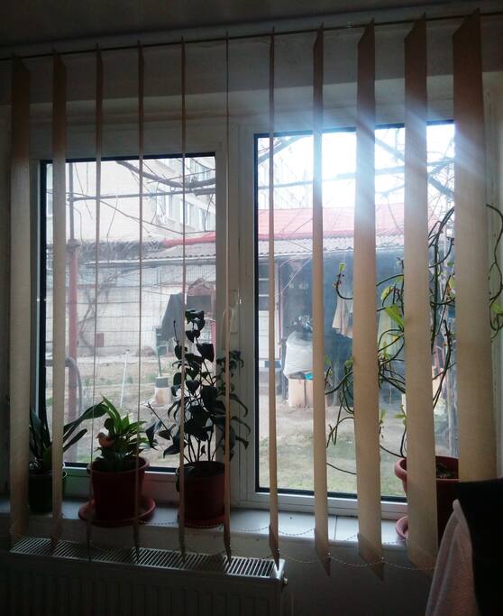 Window