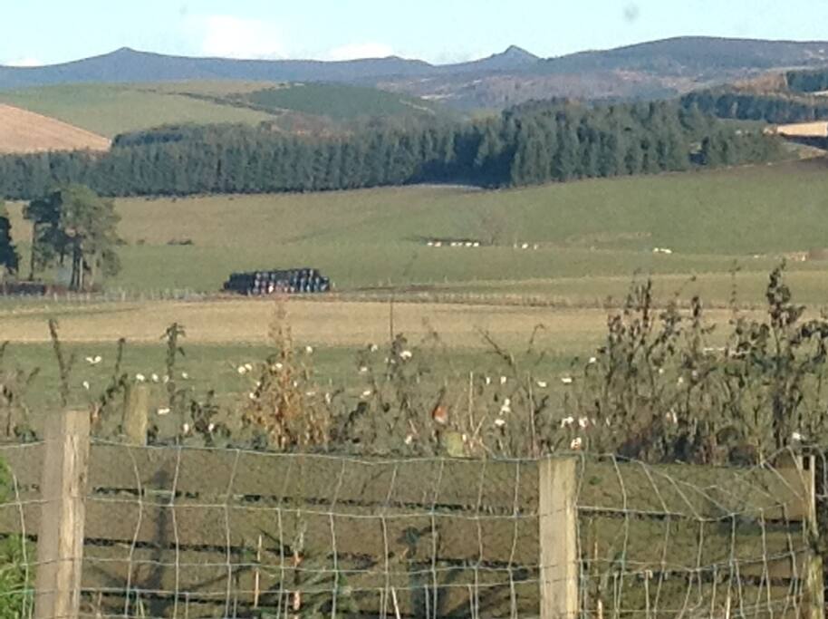 BENACHIE VIEW