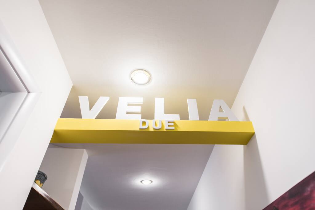 Ingresso