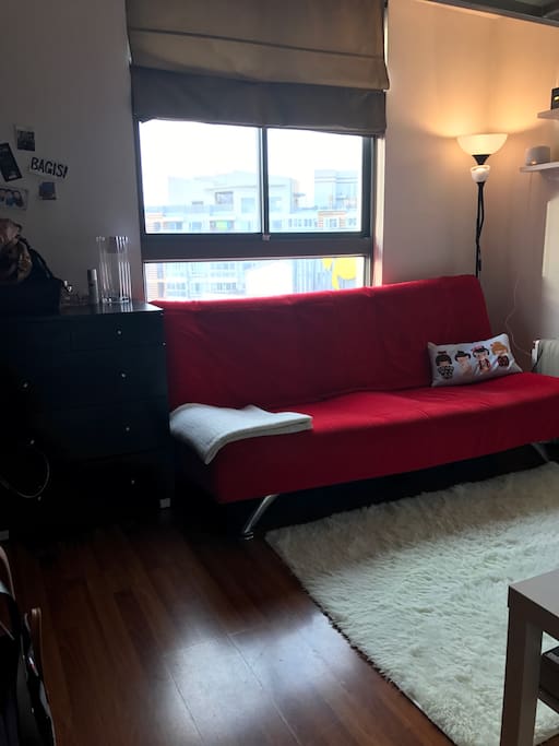 Amazing view of Shanghai living room with pull-out couch, tv and the softest rug ever