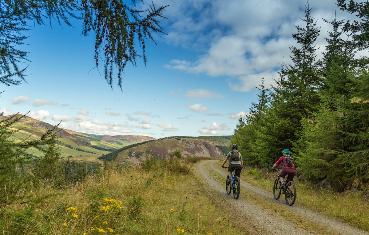 the trail house glentress