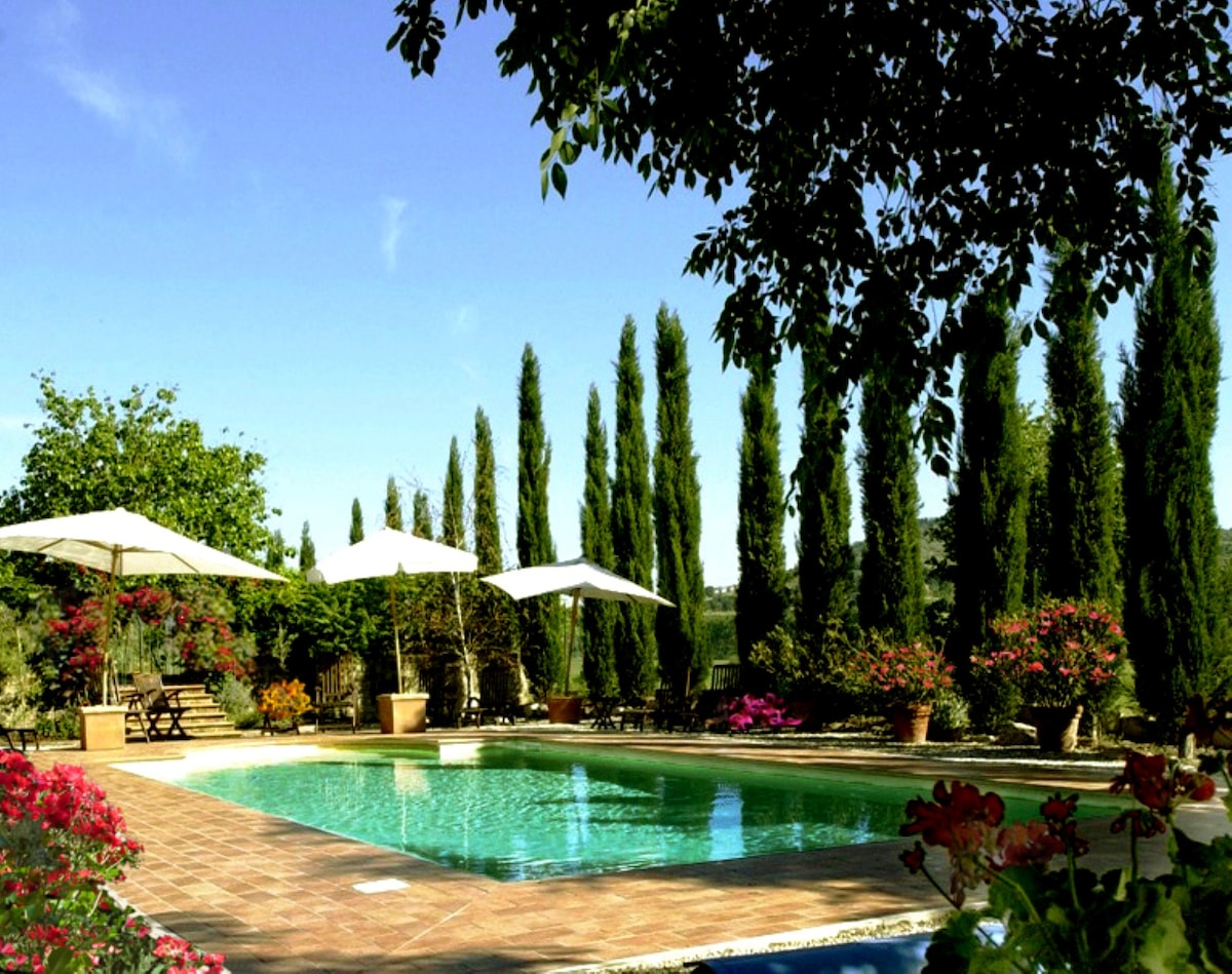 A serene swimming pool is surrounded by landscaped gardens, featuring vibrant flowers and tall cypress trees. Sun loungers and umbrellas provide shaded seating options. The clear blue sky enhances the tranquil atmosphere of the outdoor space.