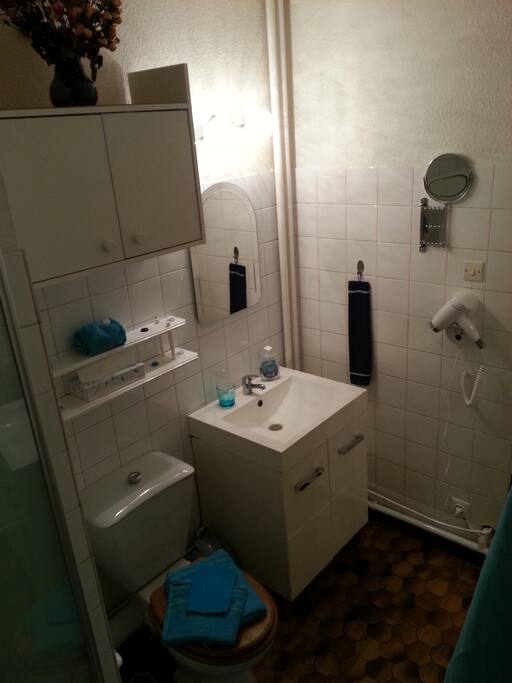 La salle de bain avec sa petite baignoire vous offre un minimum de confort, rangements ainsi qu'un panier de nécessaires pour votre hygiène personnel est mis à votre disposition pour vous dépanner : gel douche (femme/homme), crème à raser, tampon démaquillant, crème soins visage, etc...
Vous y trouverez aussi un séchoir et un miroir pivotant ainsi que plusieurs format de serviettes et gant de toilettes douillette car assez rescente.
Profitez bien.