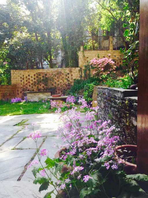 View of the outdoor garden from inside the covered verandah