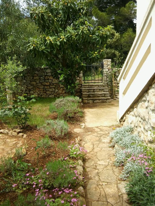 View at the entrance