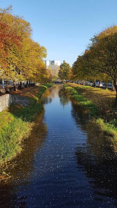 Grand Canal