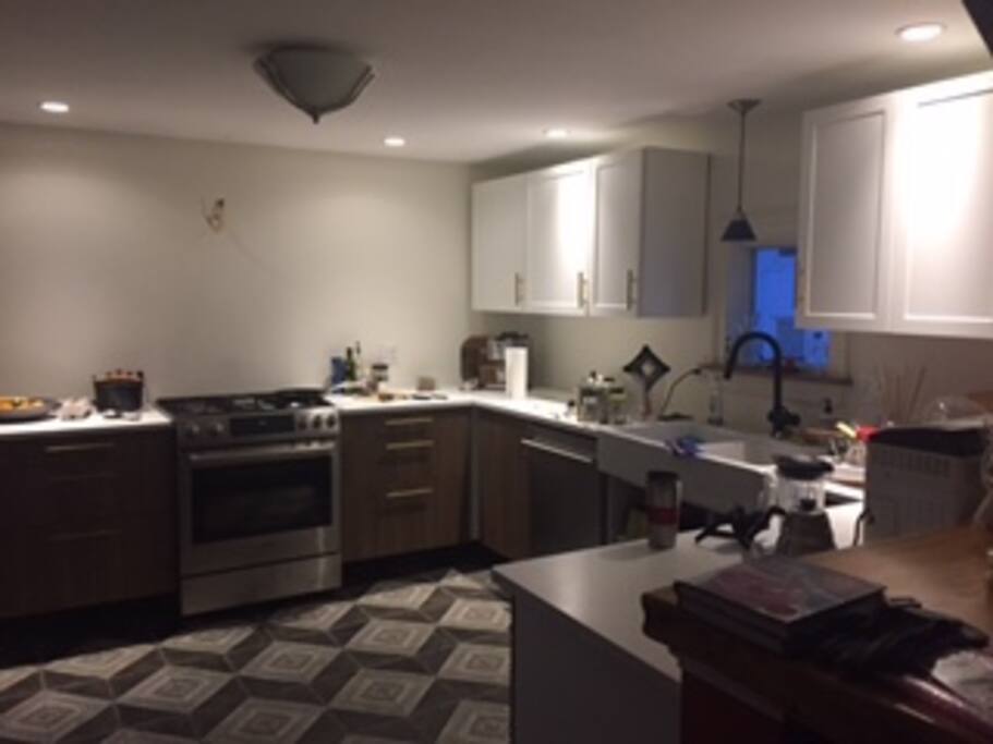 Newly renovated kitchen.