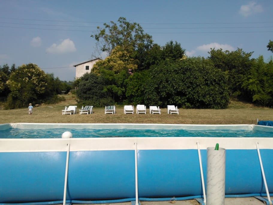 parco ulivi pool