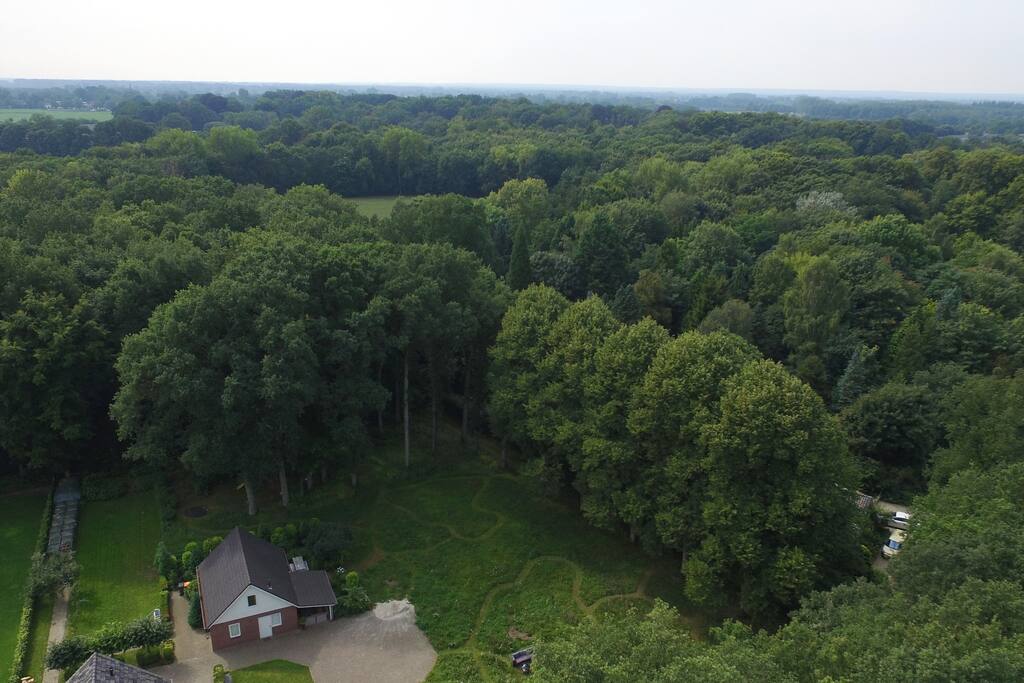 Direct vanuit het gastenverblijf kunt u urenlang wandelen door de bossen en uiterwaarden van Landgoed de Poll.