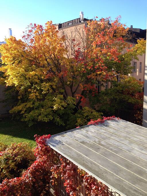 The view from the windows is to the quiet back yard