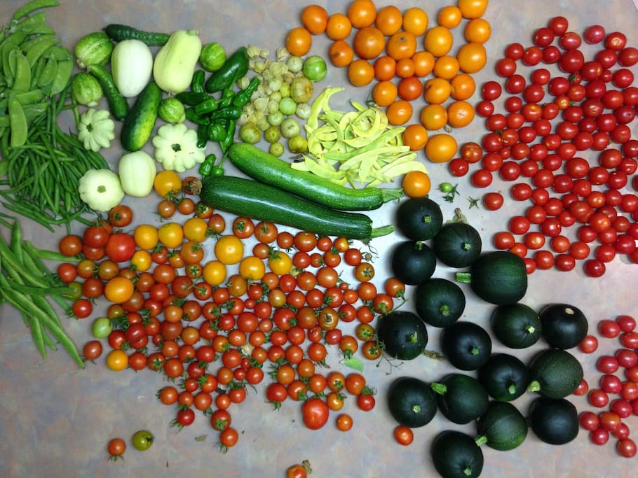 Some seasonal vegetables for you to cook something yummy
