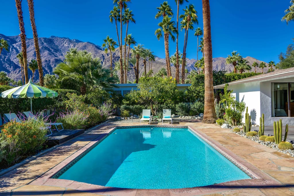 Enjoy the heated salt water pool day and night.