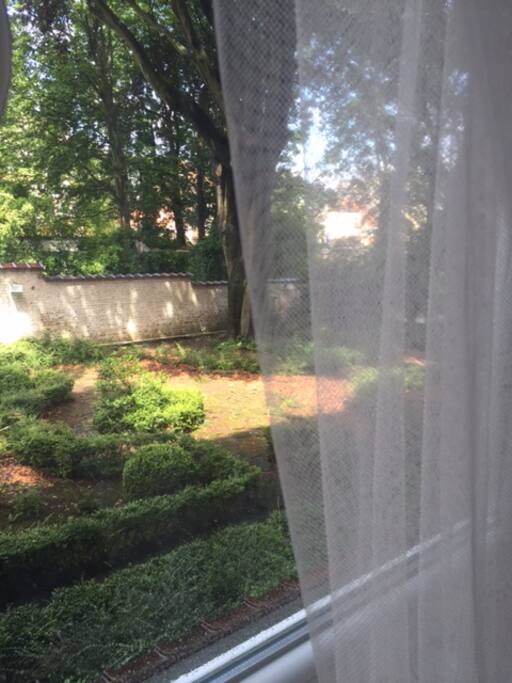 View from your room