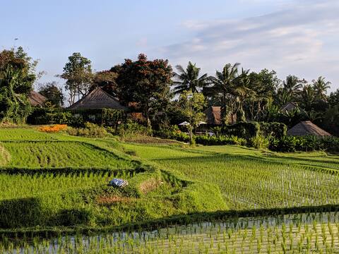 Villa Kokokan - Luxury 4-Villa Complex in Ubud