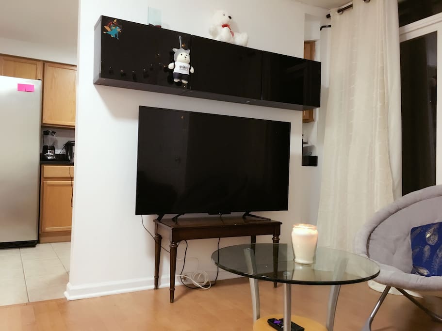 55" HDTV in the living room with UNLIMITED Movies/ TV shows