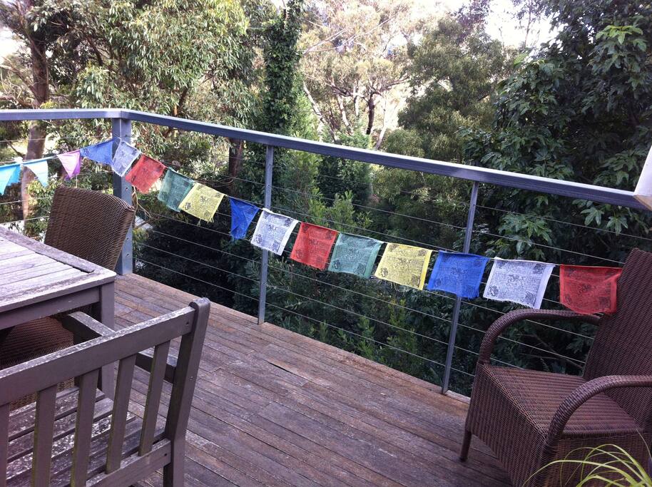 Back veranda surrounded by bush