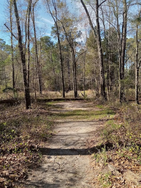 Popular Airbnb listing: 7 Minutes from 95! Campsite III in Santee