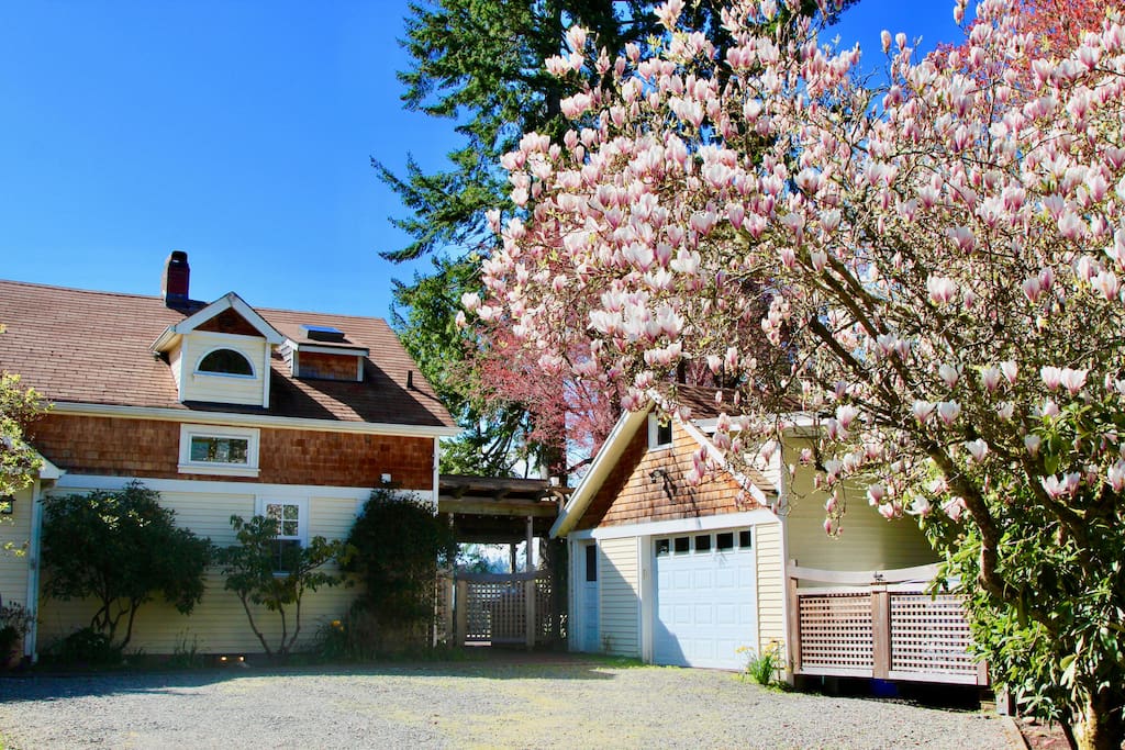Park in large driveway or secured carport