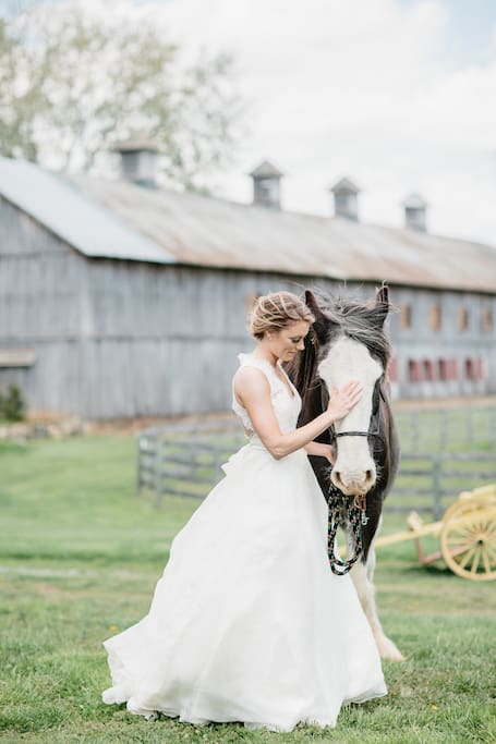 Our Poplar Barn is the largest in Loudoun County and seats 400--our weddings are private events.