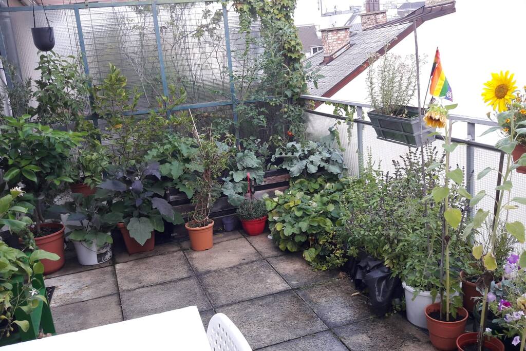 balcony garden updated